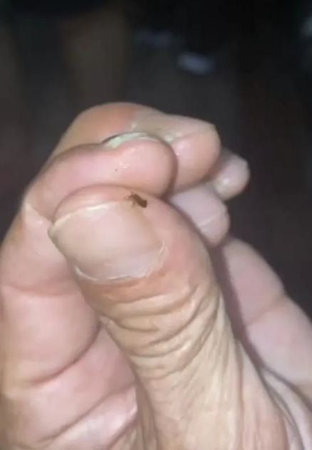Foto - İşte ayakta yolculuğun ilginç sebebi! Şehirlerarası otobüste şaşkına çeviren görüntü