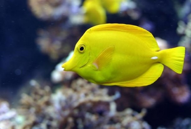 Foto - İşte başka bir evde bu yüzden uyuyamıyoruz