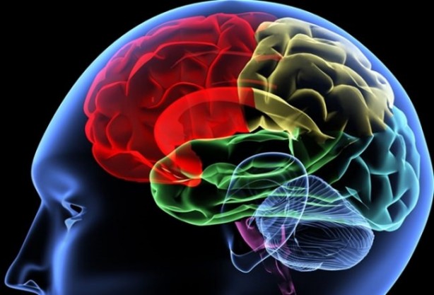 Foto - İşte başka bir evde bu yüzden uyuyamıyoruz