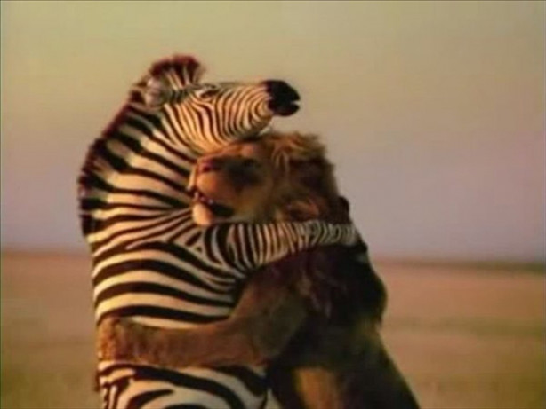 Foto - İşte belgesellerde gösterilmeyenler