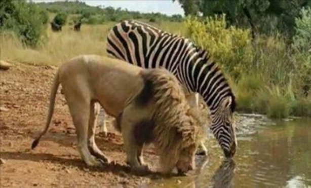 İşte belgesellerde gösterilmeyenler