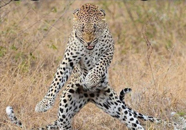 Foto - İşte belgesellerde gösterilmeyenler