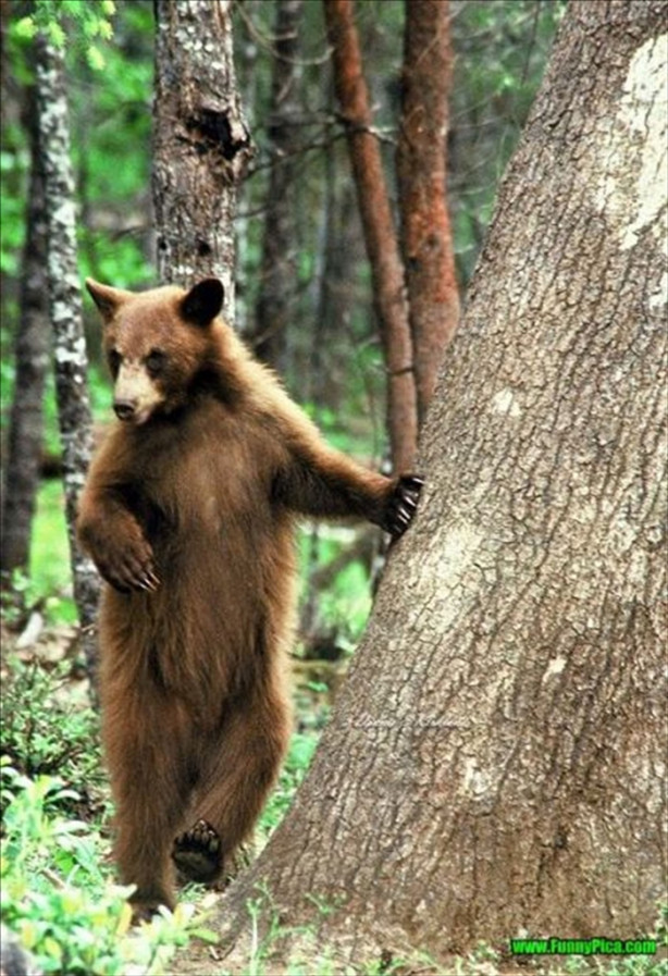 Foto - İşte belgesellerde gösterilmeyenler