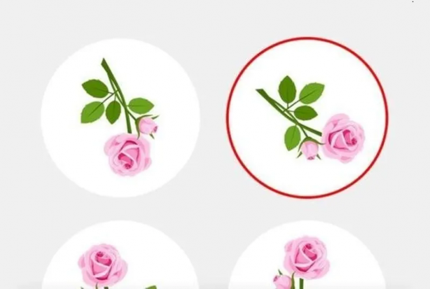 Foto - İşte beyninizi zorlayacak sorular ve cevapları! Sosyal medyada büyük ilgi gördü...