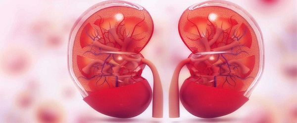 Foto - İşte böbrek iltihabının 7 önemli belirtisi