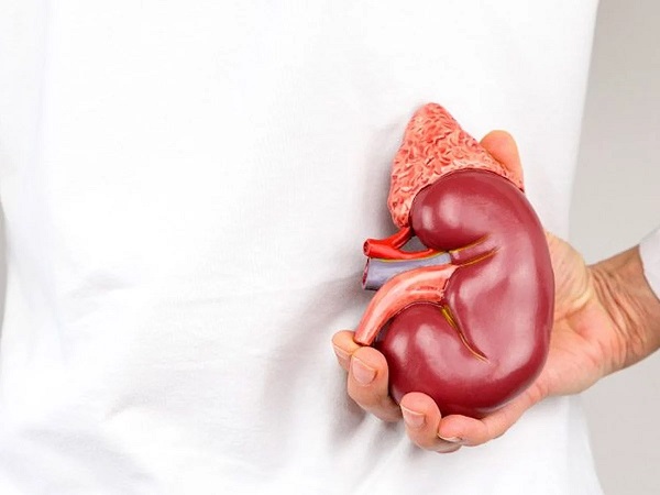 Foto - İşte böbrek iltihabının 7 önemli belirtisi