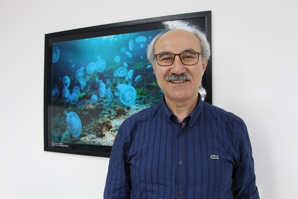 Foto - İşte bu sebeple denizanası popülasyonu artıyor