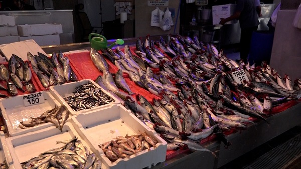 Foto - İşte bu senenin en ucuz balığı