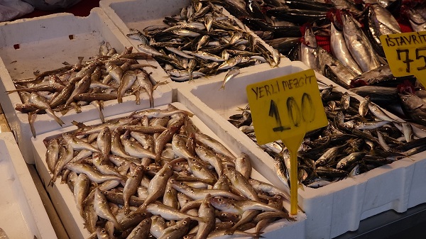 Foto - İşte bu senenin en ucuz balığı