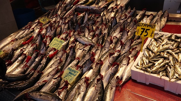 Foto - İşte bu senenin en ucuz balığı