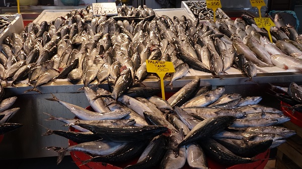 Foto - İşte bu senenin en ucuz balığı