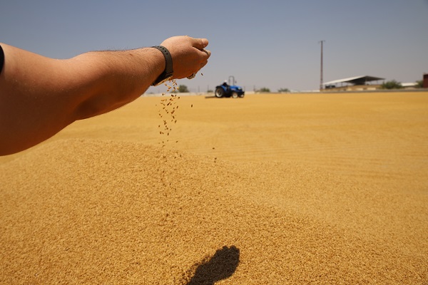 Foto - İşte bulgurun meşakkatli serüveni