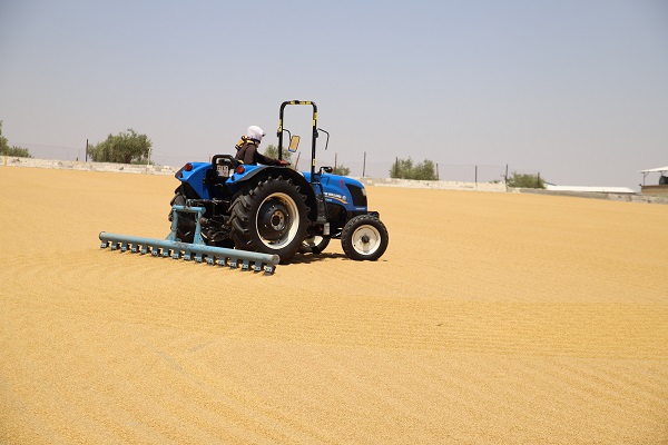 Foto - İşte bulgurun meşakkatli serüveni