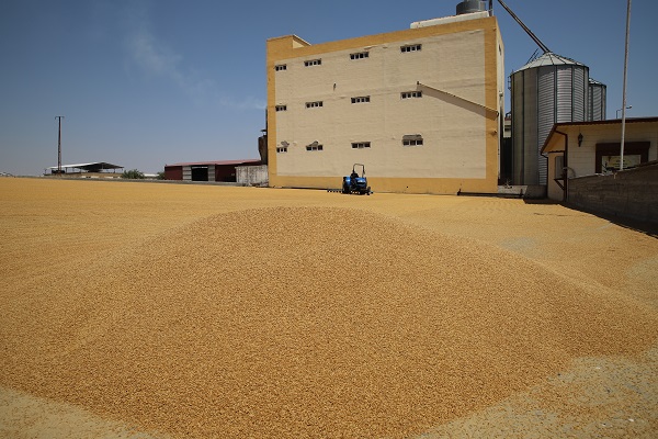 Foto - İşte bulgurun meşakkatli serüveni