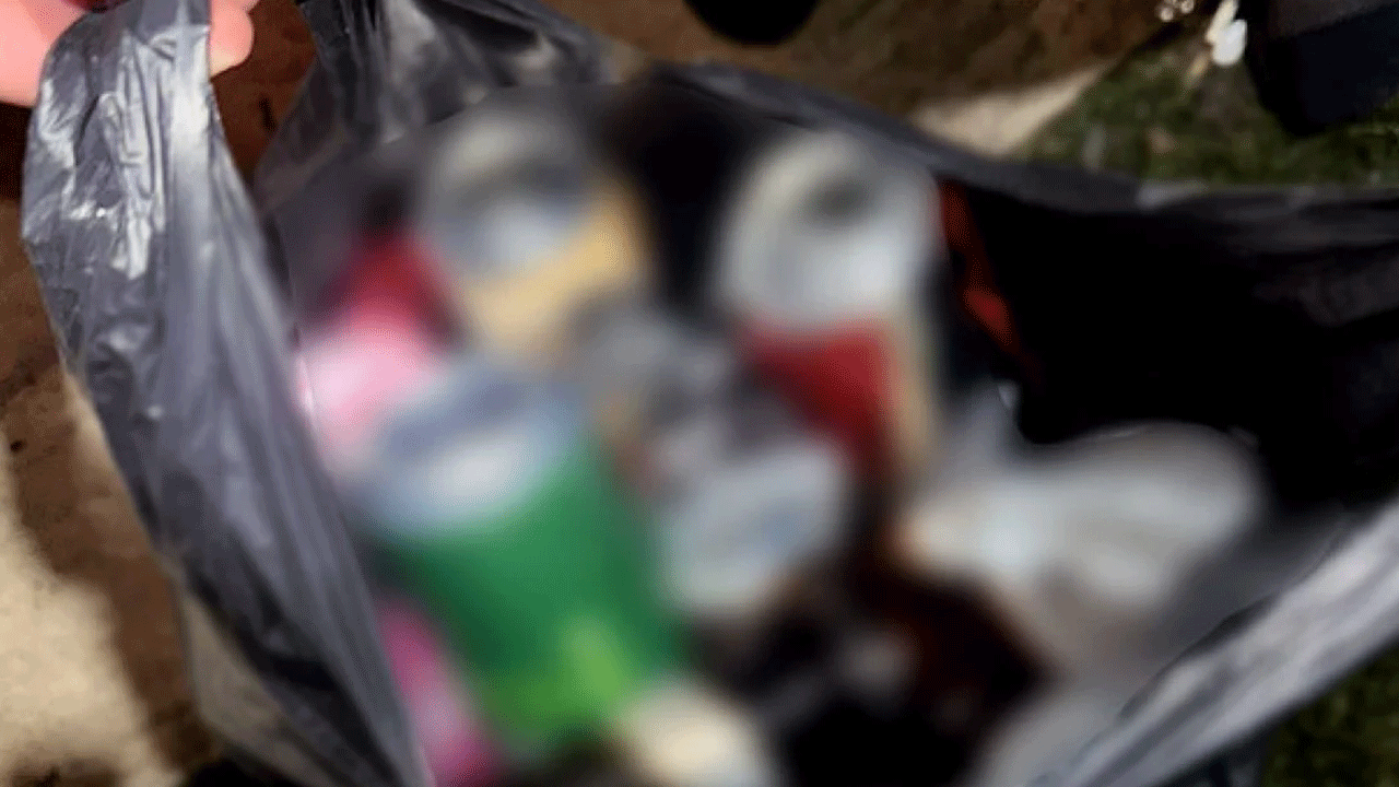 Foto - İşte CHP gençliği: Bakın cami duvarında ne yaptılar!