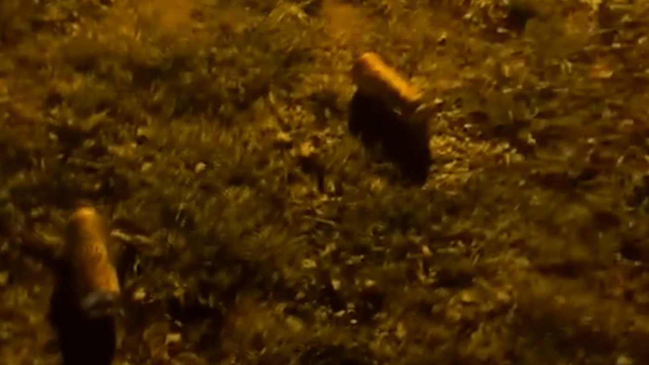 Foto - İşte CHP gençliği: Bakın cami duvarında ne yaptılar!