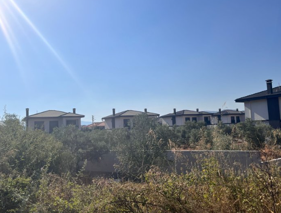 Foto - İşte CHP’li belediye zeytinliklere böyle çöktü: Villa istilası