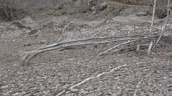 Foto - İşte çığın verdiği zarar! Karlar eridi ortaya çıktı