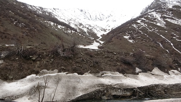 Foto - İşte çığın verdiği zarar! Karlar eridi ortaya çıktı