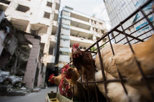 Foto - İşte Çin'in iki farklı yüzü