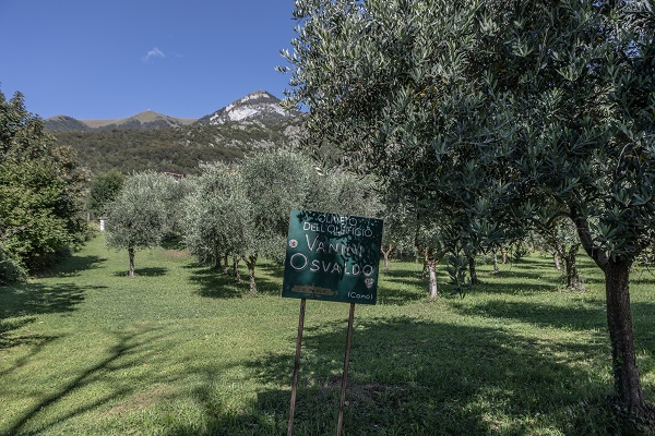 Foto - İşte, Como Gölü'nün en eski zeytin değirmeni