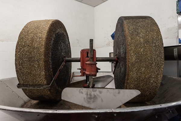 Foto - İşte, Como Gölü'nün en eski zeytin değirmeni