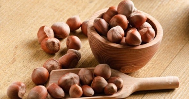 Foto - İşte çöpe attığınız fındık kabuğunun faydaları