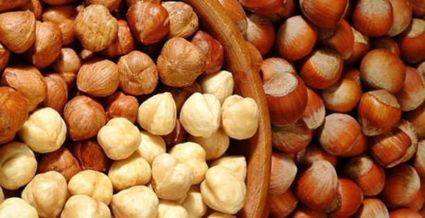 Foto - İşte çöpe attığınız fındık kabuğunun faydaları
