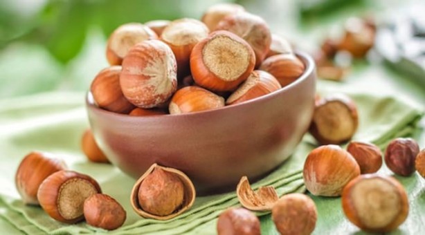 Foto - İşte çöpe attığınız fındık kabuğunun faydaları