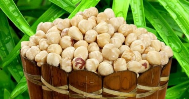 Foto - İşte çöpe attığınız fındık kabuğunun faydaları