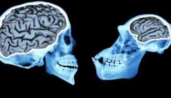 Foto - İşte daha zeki olmanın yolları!