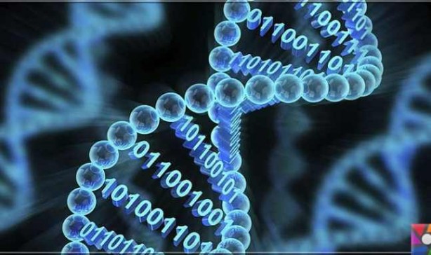 Foto - İşte daha zeki olmanın yolları!