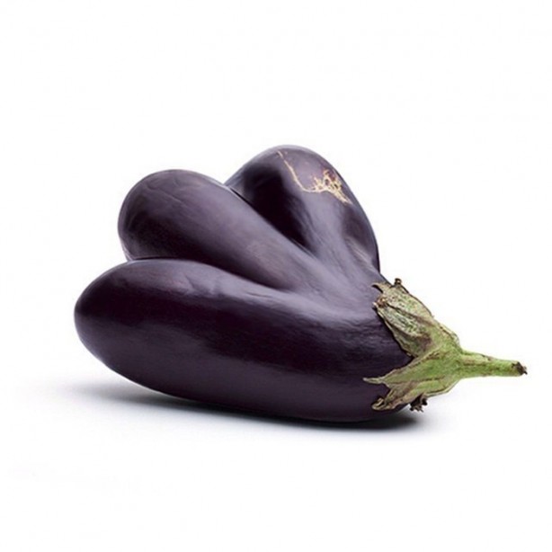 Foto - İşte dev sebzeler