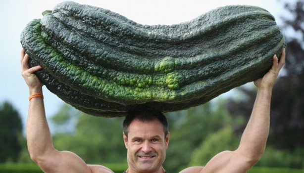 Foto - İşte dev sebzeler