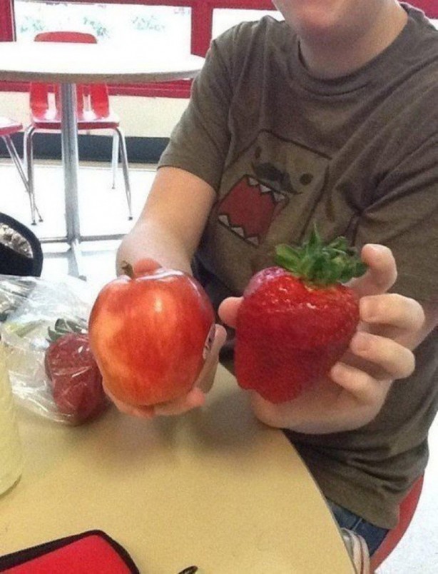 Foto - İşte dev sebzeler