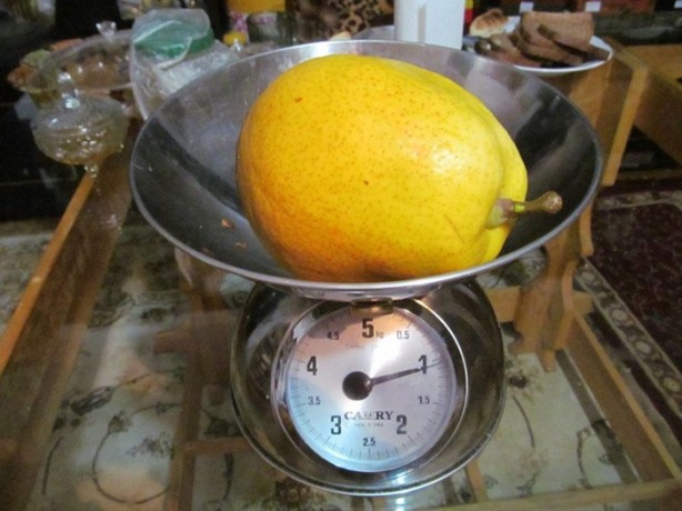 Foto - İşte dev sebzeler