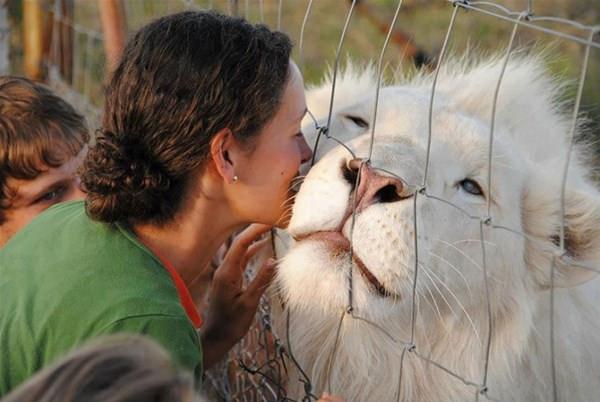 Foto - İşte doğadaki albino hayvanlar