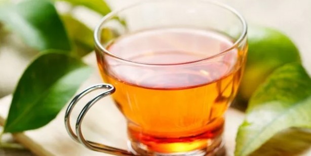 Foto - İşte doğadaki en güçlü mikrop öldürücü: Yüzyıllardır kendiliğinden yetişiyor, herkesi şaşırttı! Herkesin ön tercihi