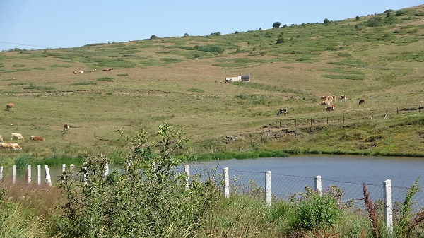 Foto - İşte doğal klima: Hebüllü Yaylası