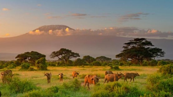 Foto - İşte doğası en güzel 20 ülke! Türkiye kaçıncı sırada?
