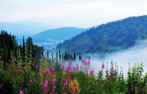 Foto - İşte doğası en güzel 20 ülke! Türkiye kaçıncı sırada?