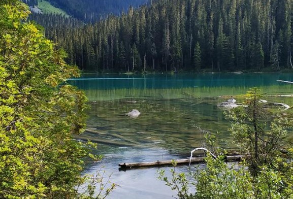 Foto - İşte doğası en güzel 20 ülke! Türkiye kaçıncı sırada?