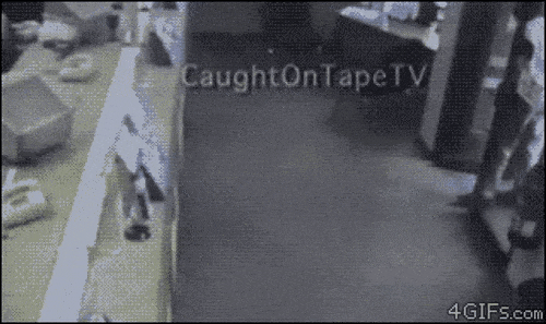 Foto - İşte dünyanın en beceriksiz hırsızları