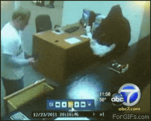 Foto - İşte dünyanın en beceriksiz hırsızları