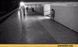 Foto - İşte dünyanın en beceriksiz hırsızları