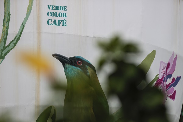 Foto - İşte, dünyanın en büyük kahve fincanı
