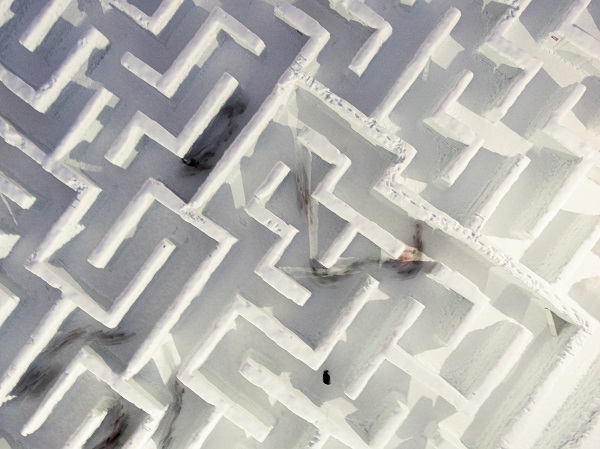 Foto - İşte dünyanın en büyük kar labirenti