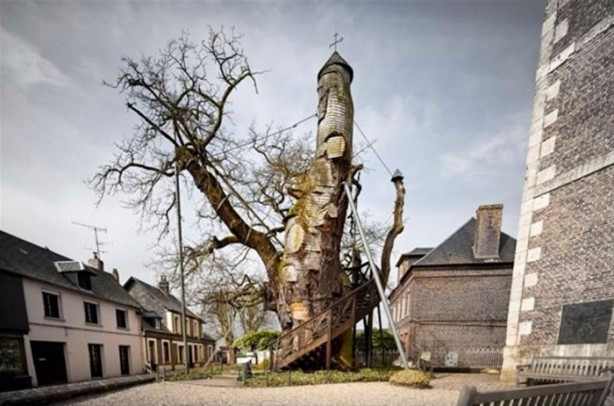 Foto - İşte dünyanın en etkileyici fotoğrafları