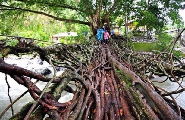 Foto - İşte dünyanın en etkileyici fotoğrafları