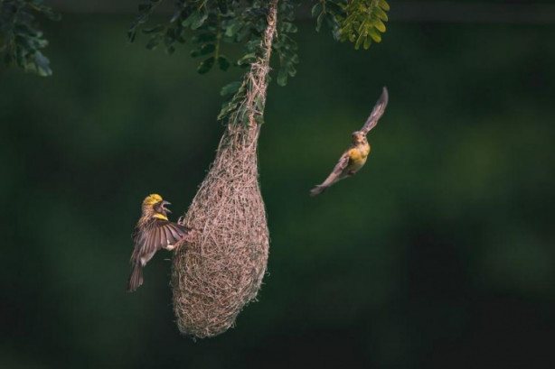 Foto - İşte dünyanın en iyileri